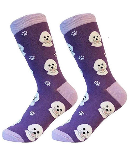Sock Daddy Bichon Frise Dog Socks 800-4