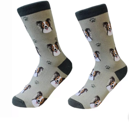 Sock Daddy Papillon Dog Socks 800-63