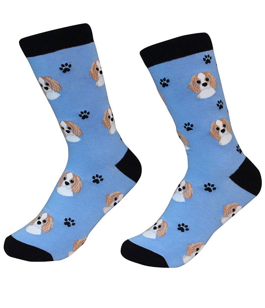 Sock Daddy Brand Unisex Cavalier King Charles Dog Socks 800-18